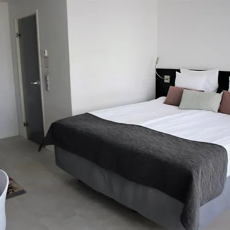 Original Sokos Puijonsarvi クオピオ